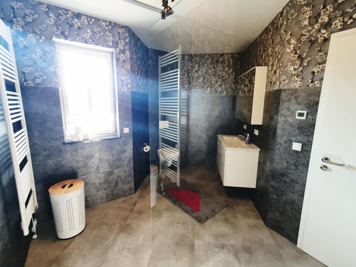 Dm Hotels & Apartments - Apartment Rasenweg Dingelstadt المظهر الخارجي الصورة